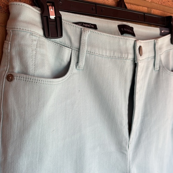 Talbots Petite Jegging Crop NWT Women's High Waist Skinny Leg Crop Length 12P - Picture 2 of 10